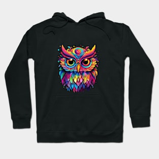 Colorful Owl Hoodie